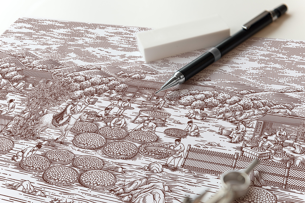 合作插画:良橘堂——橘红茶—画画的阿城