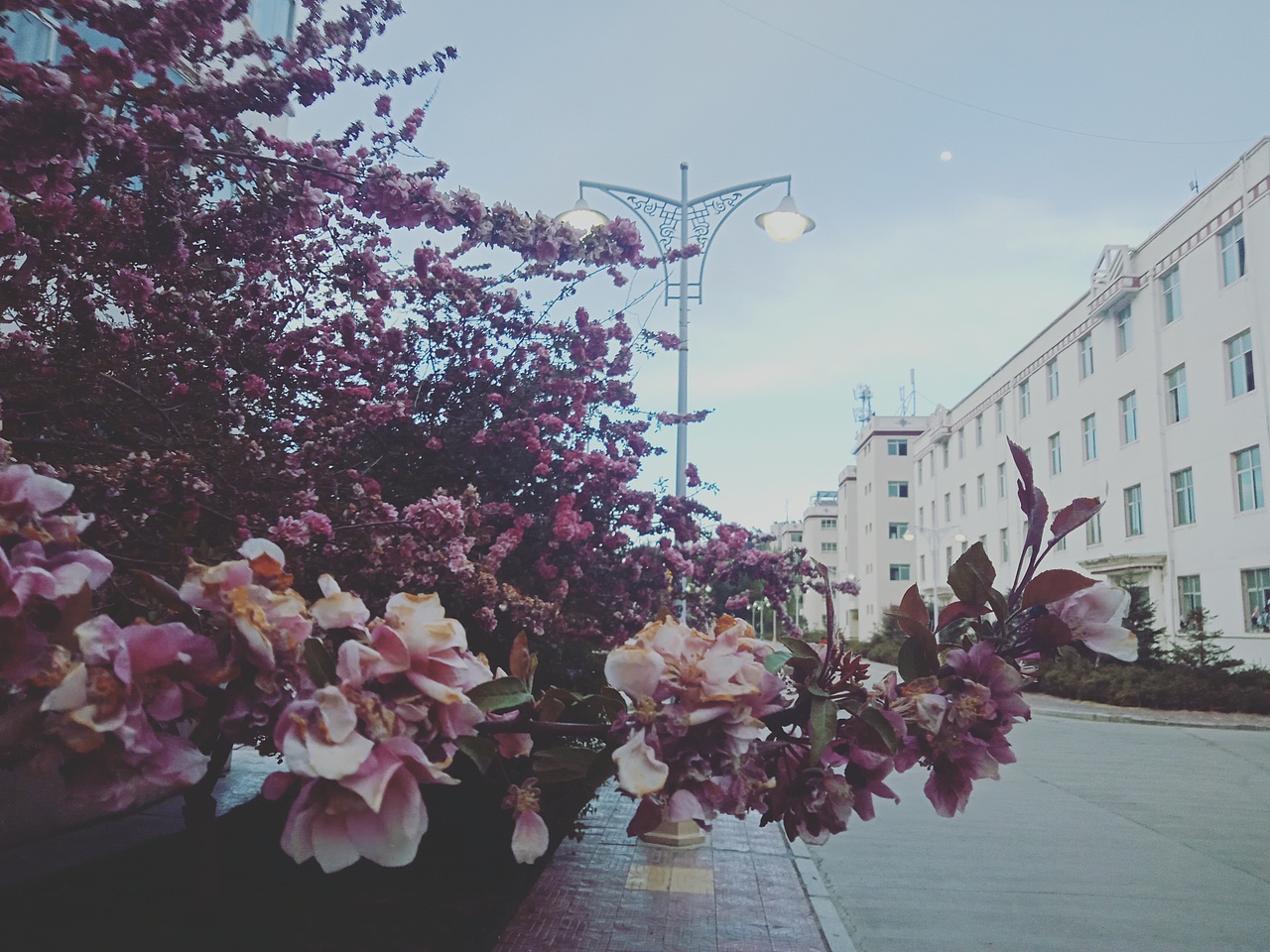 好看吗啊（图ZMTEzMzkxNDYw） - 产品摄影 - 站酷设计师ASD落原创素材 - 站酷ZCOOL