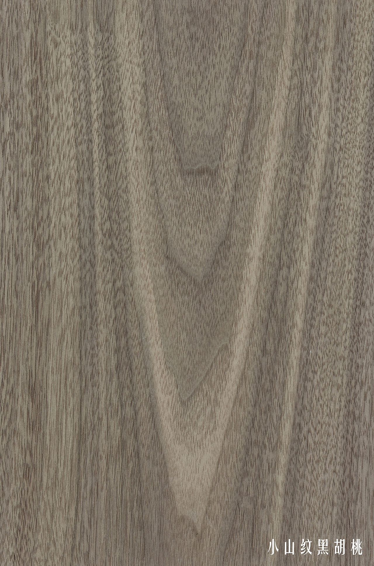 双鹰·木纹素材·木皮 | 双鹰固装（图ZMTQxNjMwOTQ4） - 产品摄影 - 站酷设计师双鹰家具原创素材 - 站酷ZCOOL