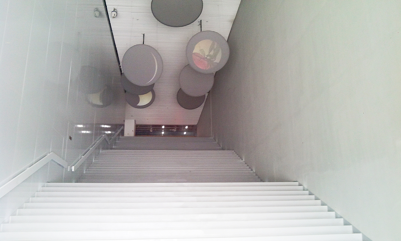 手机摄影——双年展