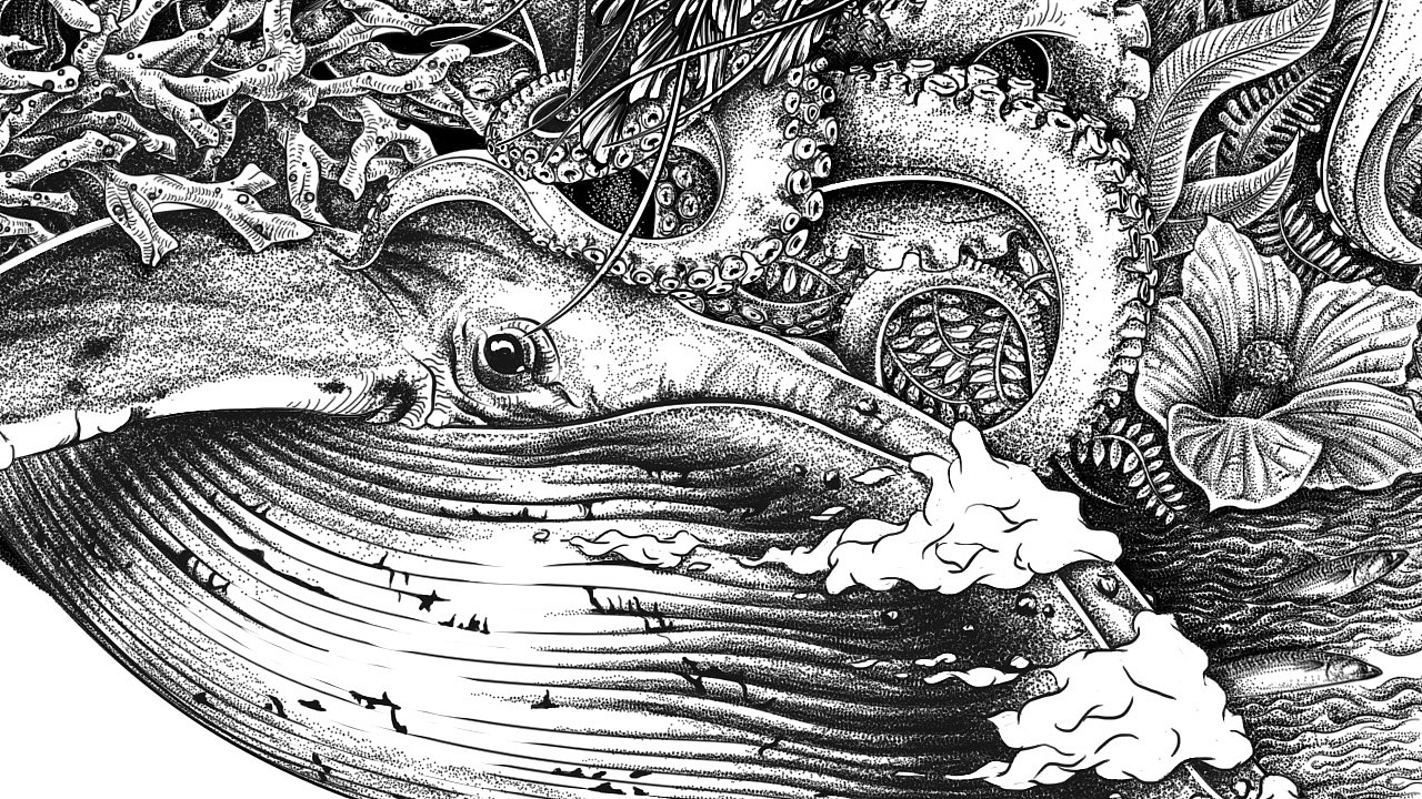 七七八八 万物幻想 插画一张（图ZNDg2MTk4ODA=） - 商业插画 - 站酷设计师世界别为我担心原创素材 - 站酷ZCOOL