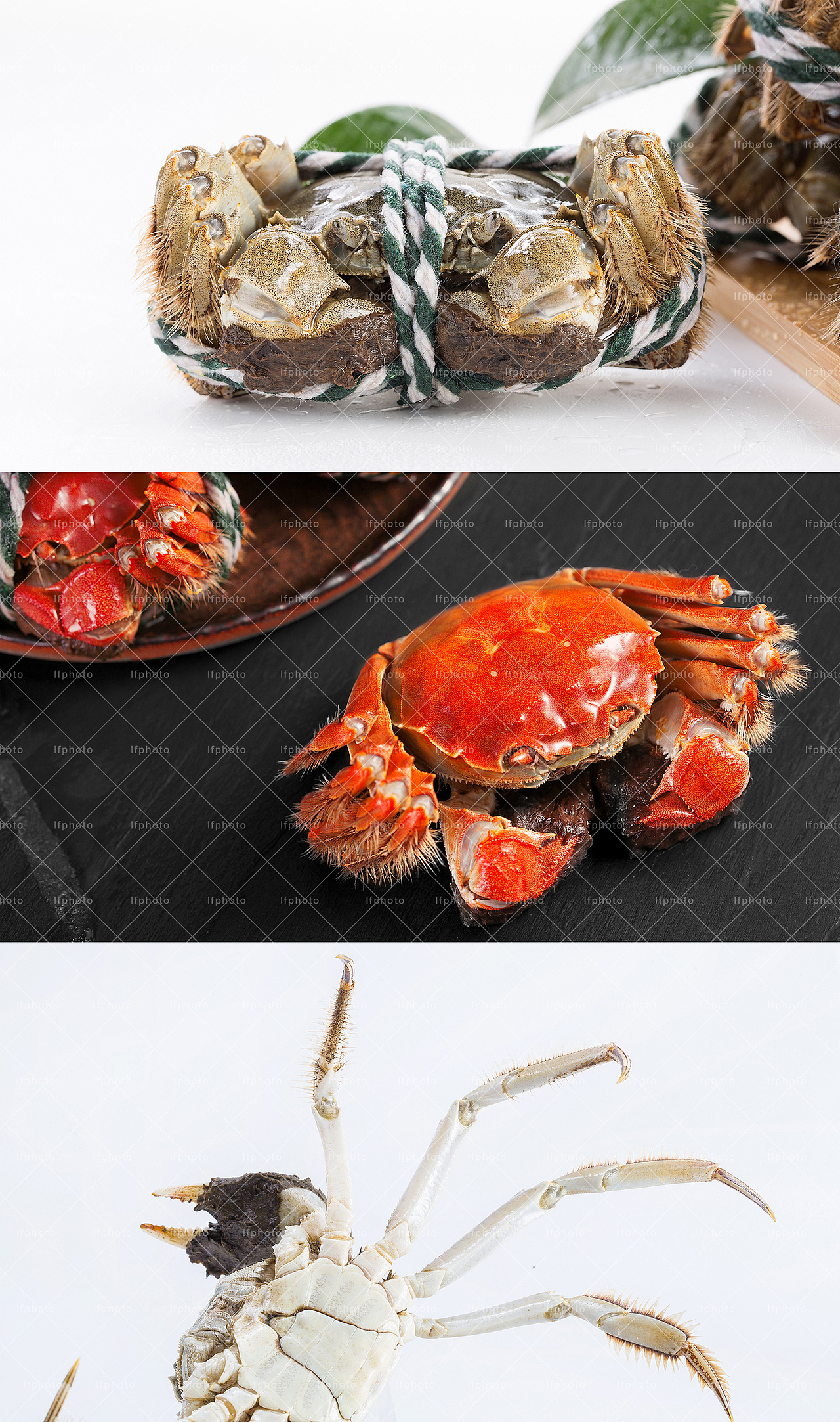 近期大闸蟹拍摄合集（图ZMTMzMzI1Mjgw） - 产品摄影 - 站酷设计师超斯商业摄影原创素材 - 站酷ZCOOL
