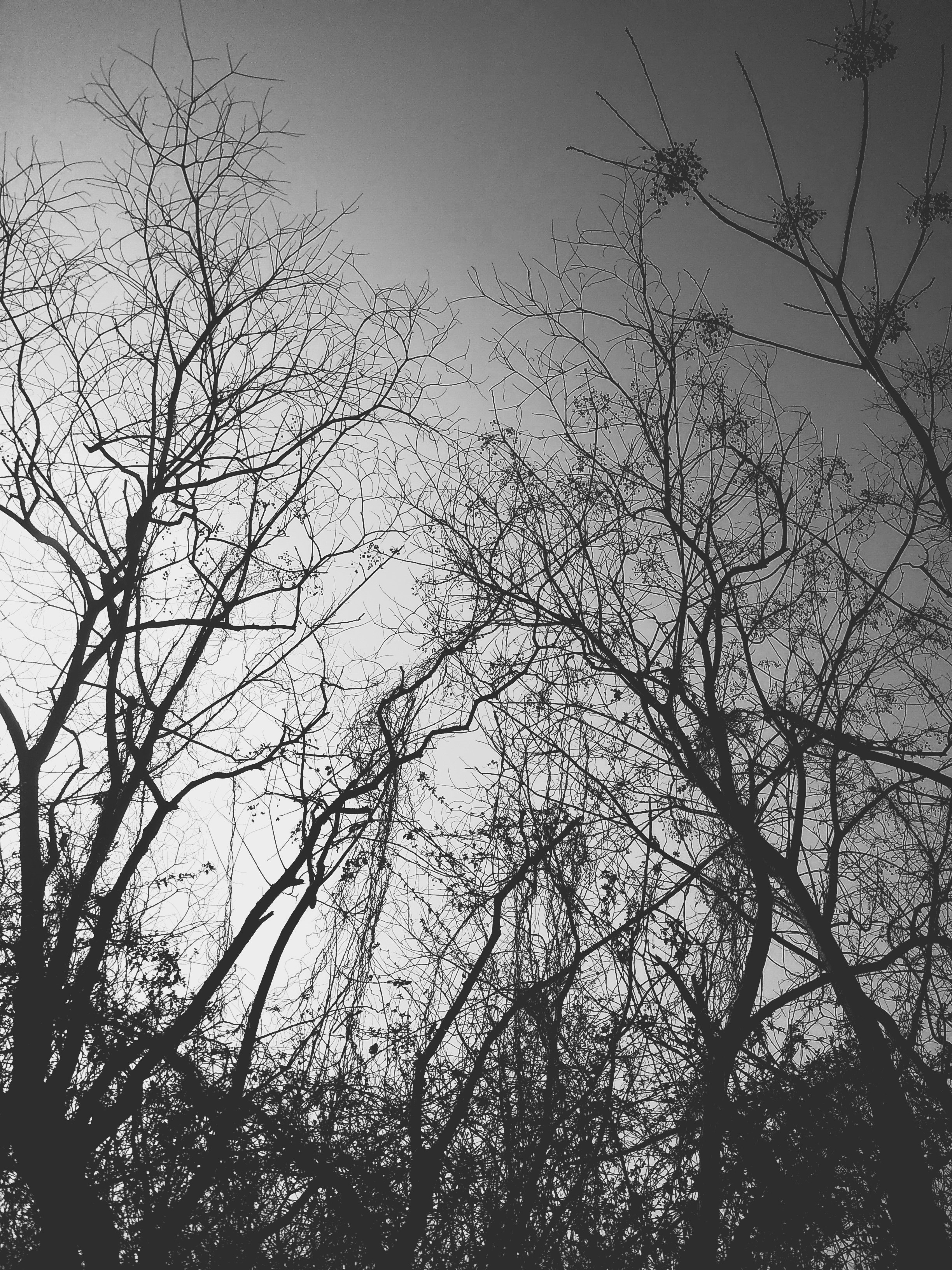 卻無名的個(gè)人主頁（封面預(yù)覽） - 主頁封面設(shè)置 - 站酷設(shè)計(jì)師卻無名原創(chuàng)素材 - 站酷ZCOOL