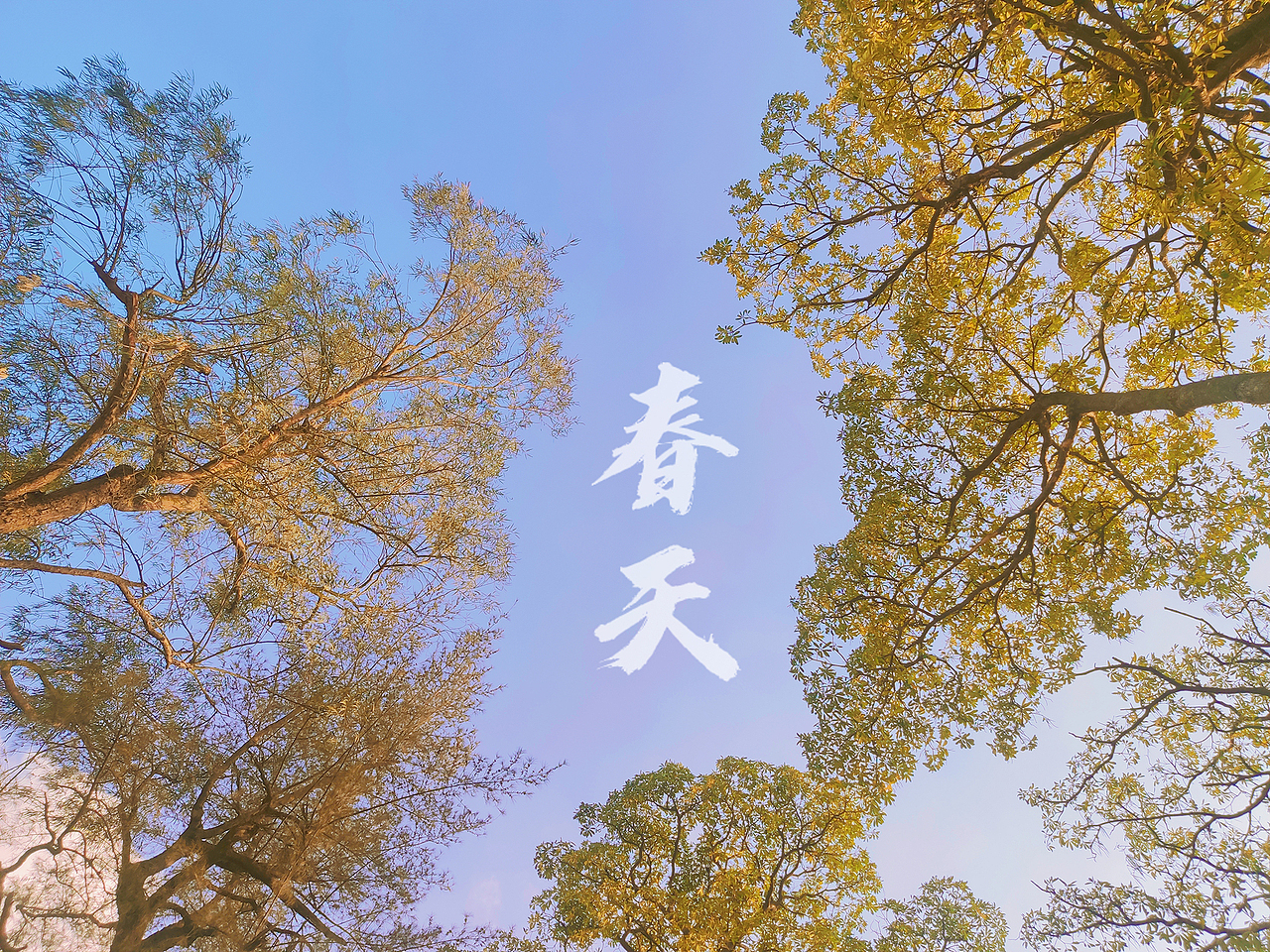 去年春天（图ZMjc1ODk2MTk2） - 风光摄影 - 站酷设计师孜川原创素材 - 站酷ZCOOL