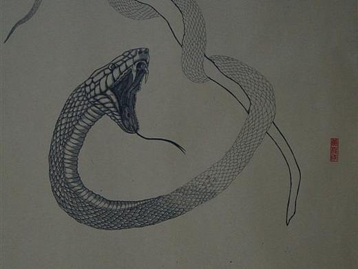 我画的【蟒蛇】
