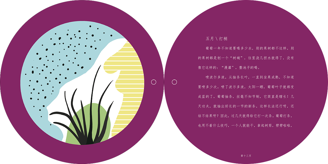 书籍插画设计-葡萄很甜