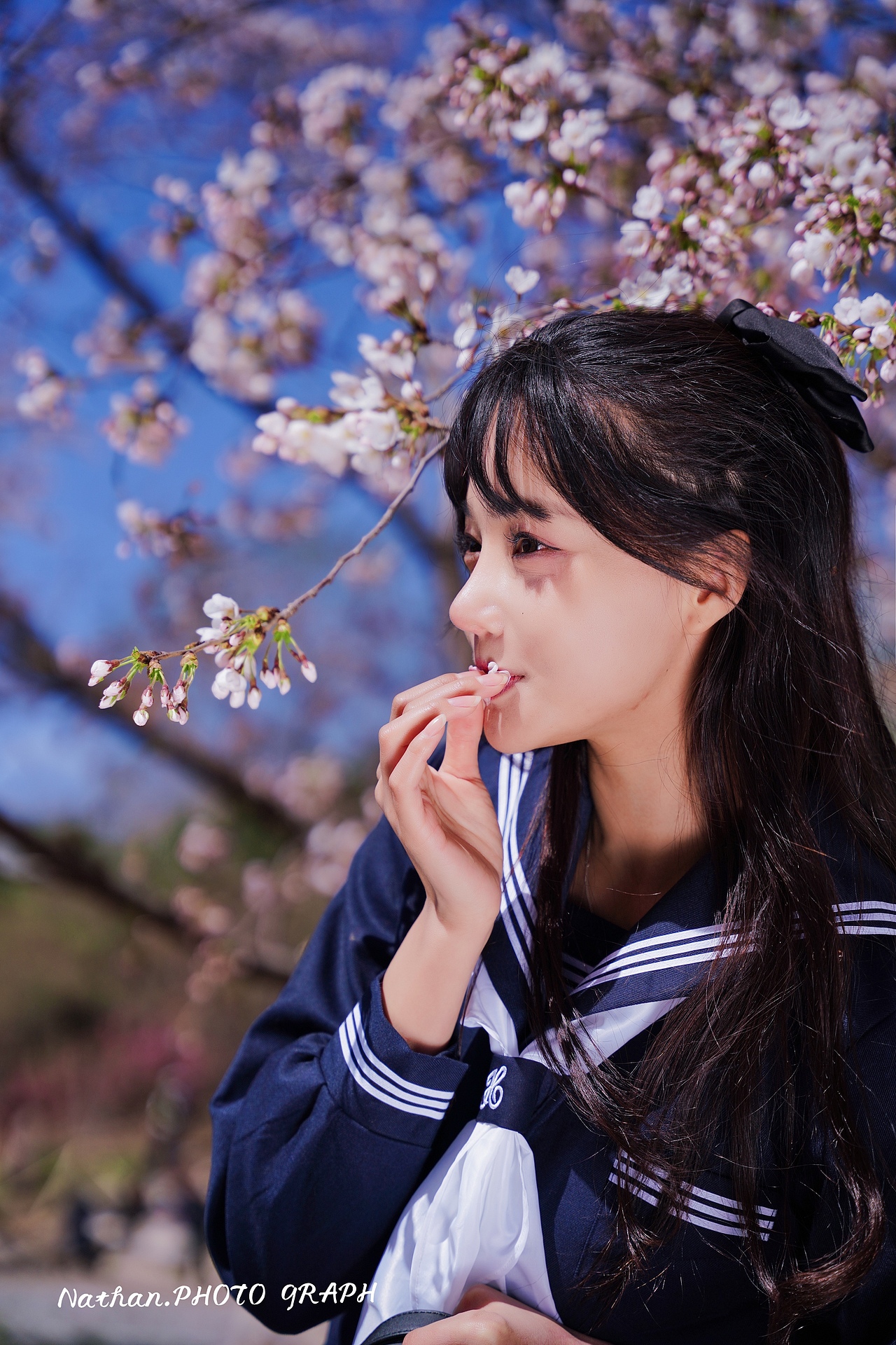 玉渊潭樱花节（图ZMjk1NzY2Nzk2） - 人像摄影 - 站酷设计师NathanCheung原创素材 - 站酷ZCOOL