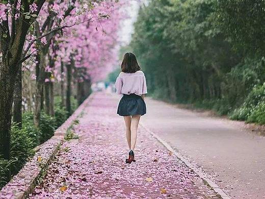 海报（个人主页-ZMzc2MzA4NDg=） - 海报 - 站酷设计师御一魔原创素材 - 站酷ZCOOL