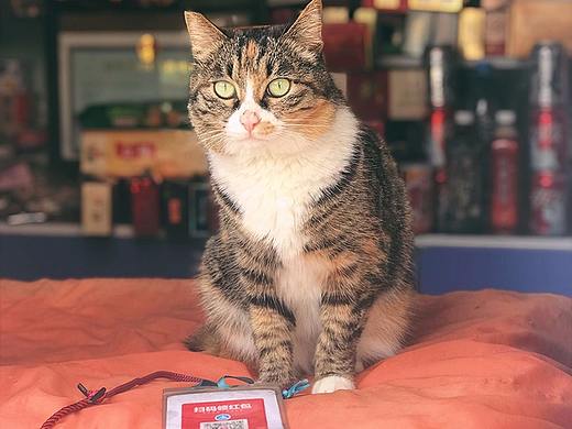 看图说话1（个人主页-ZMjY4ODQ0NzY=） - 人文/纪实摄影 - 站酷设计师克莱尔猫原创素材 - 站酷ZCOOL