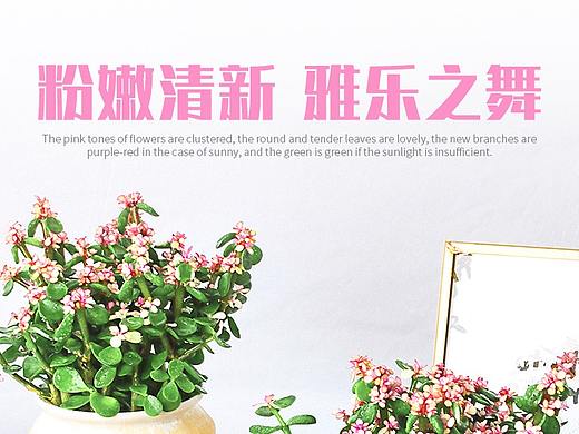 绿植植物-详情页