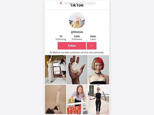 PR模板-手机APP抖音小视频点赞观看预览效果 TikTok Promo