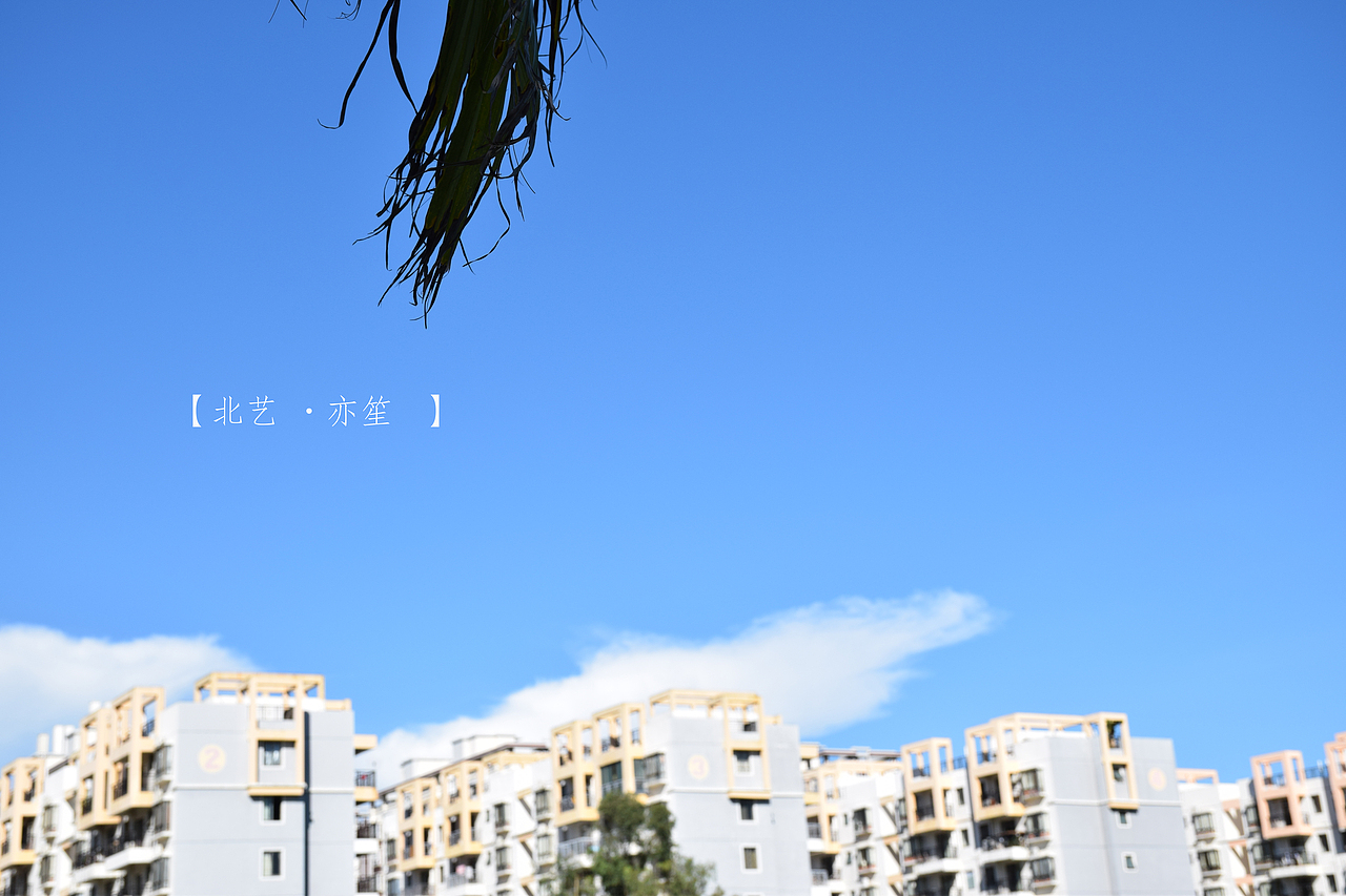 光和影（图ZMzI3NjY1NTI=） - 风光摄影 - 站酷设计师亦笙olol原创素材 - 站酷ZCOOL