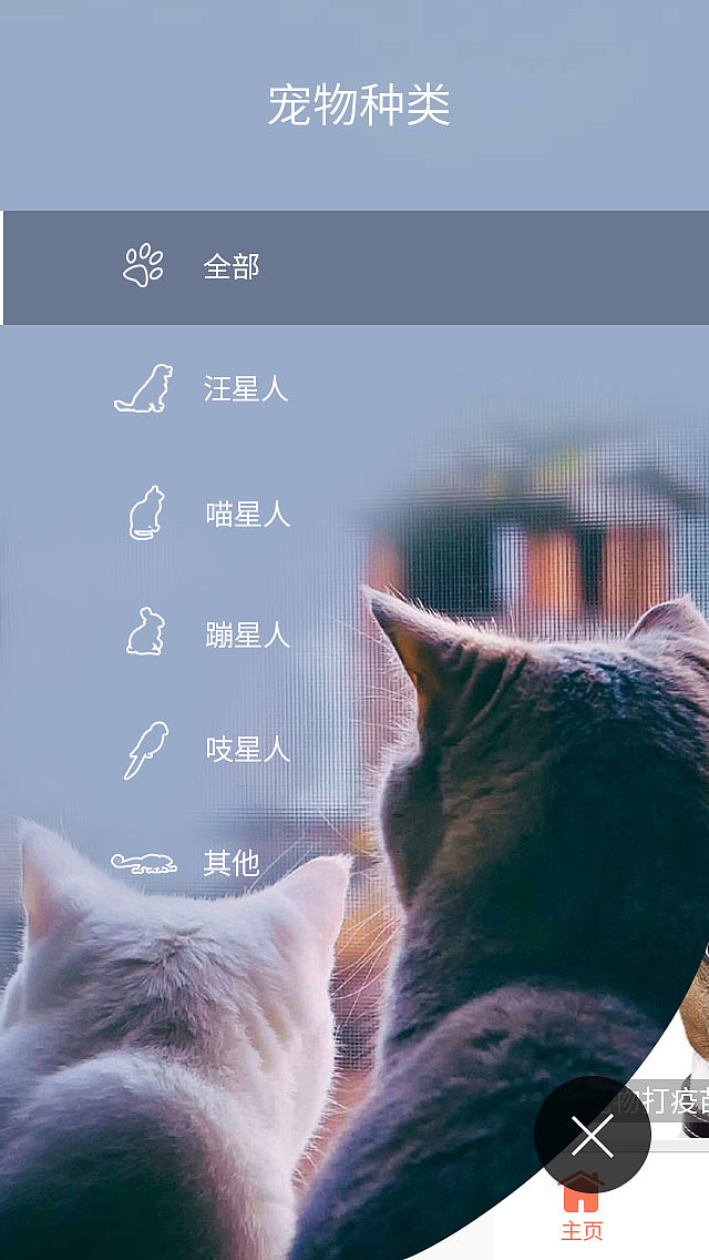 爱宠·你 宠物交友APP（图ZMTA3NzMzMzI4） - APP界面 - 站酷设计师浅度微微笑原创素材 - 站酷ZCOOL