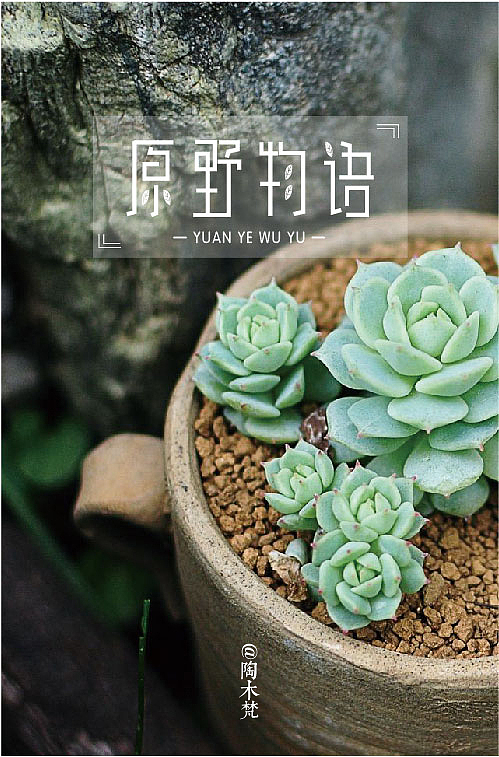 字体设计-字嗨03【原野物语】（图ZNTA4MTQyNTI=） - 字体/字形 - 站酷设计师宛小风原创素材 - 站酷ZCOOL