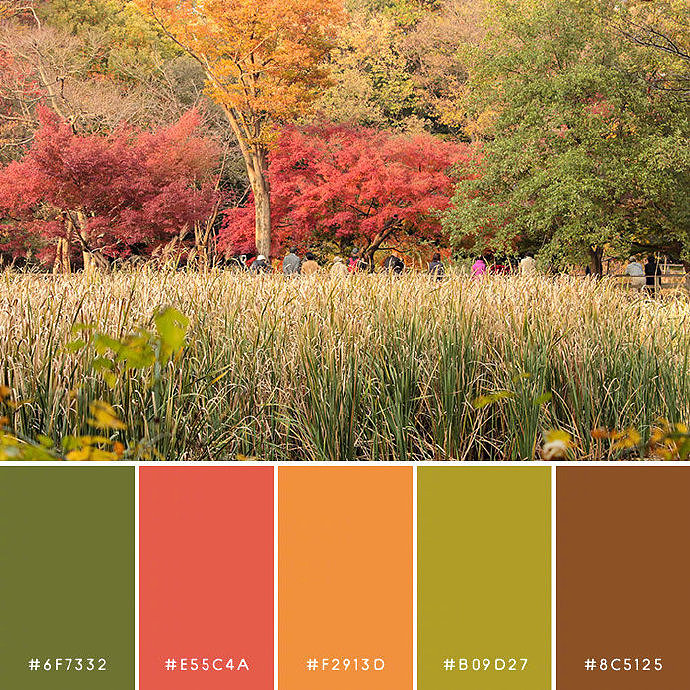 大自然的颜色搭配,转需收藏! - 原创作品 - 站酷(zcool)