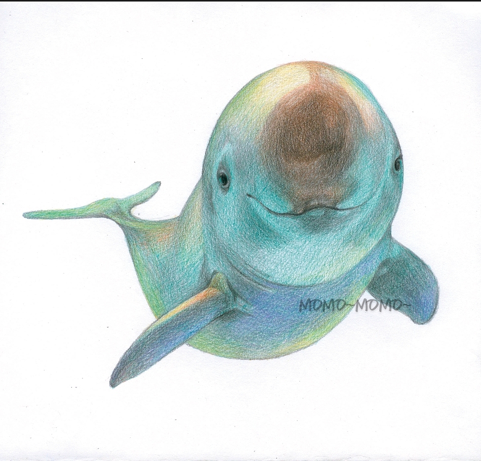 举报4分享原创作品插画绘本画画彩铅手绘海洋生物儿插绘本末末的彩铅