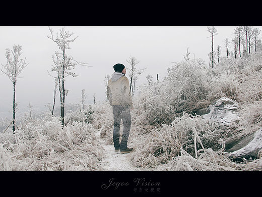 《那一场风花雪月的事》