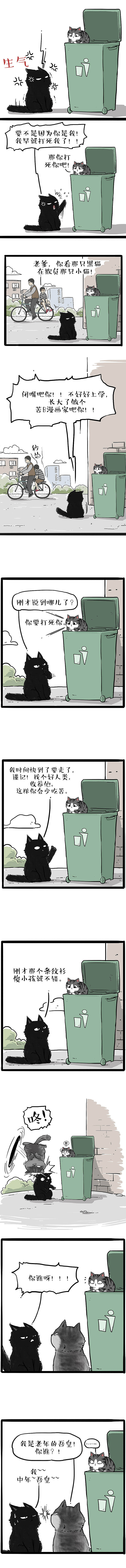 这世界上敢跟吾皇讲道理的猫出现了？？？？（图ZMjM5ODQ1Njg0） - 中/长篇漫画 - 站酷设计师吾皇的白茶原创素材 - 站酷ZCOOL