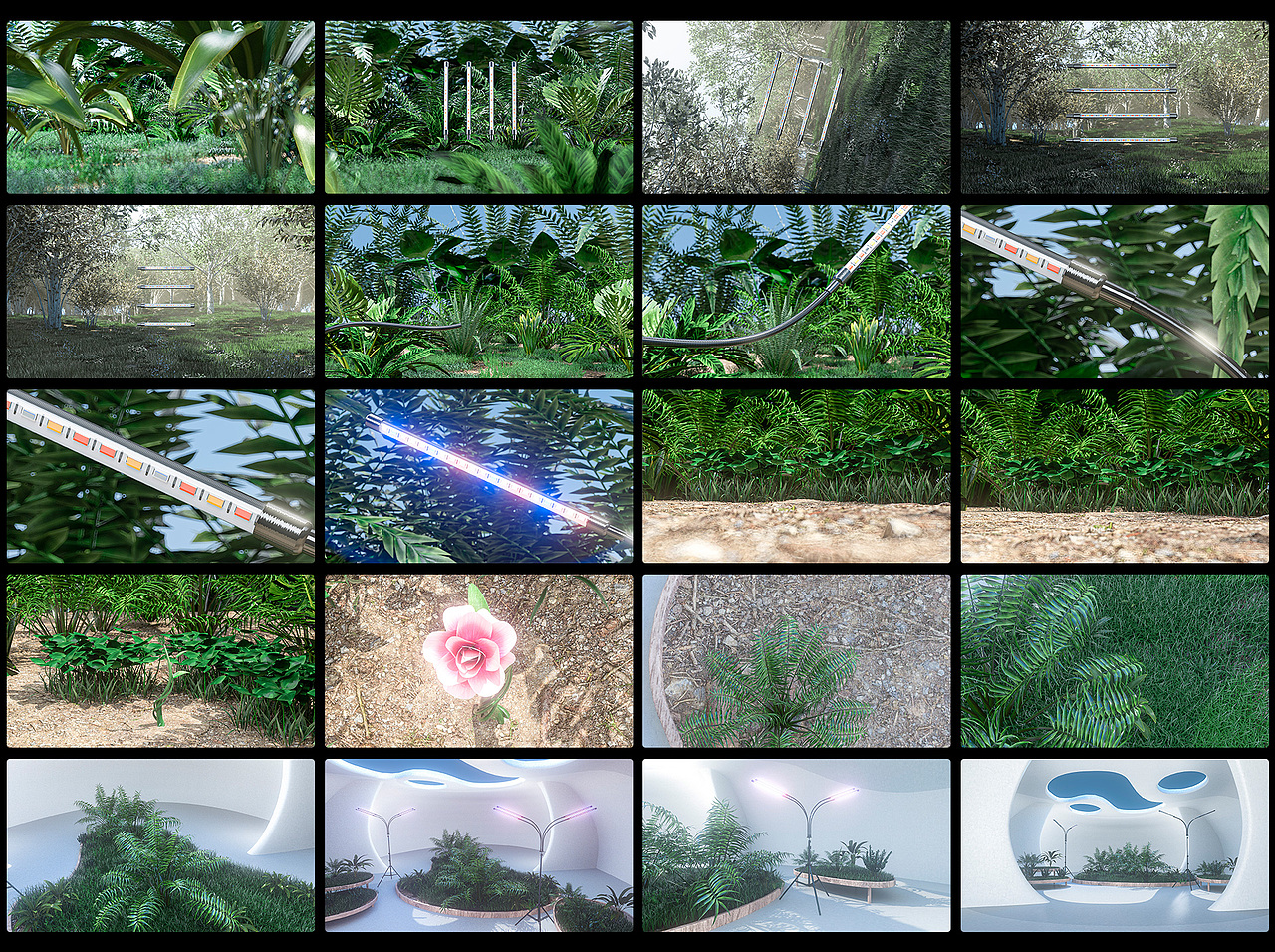 植物灯三维产品动画