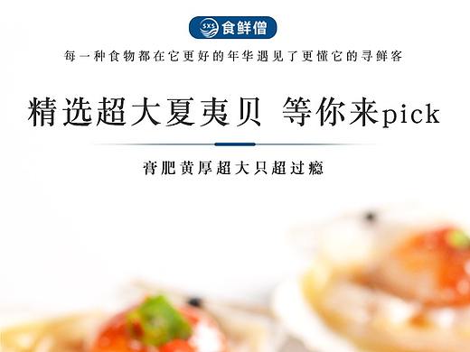 夏夷贝详情页