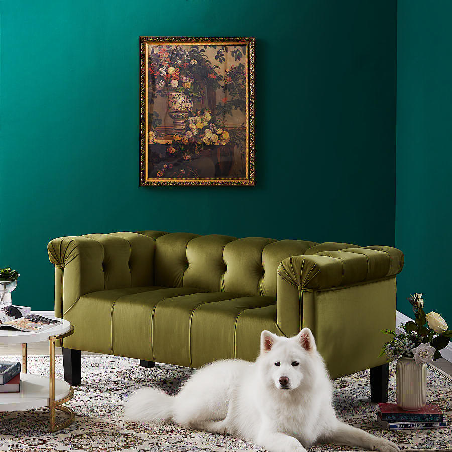 亚马逊东莞惠州深圳家具摄影拍照3000平家具摄影棚