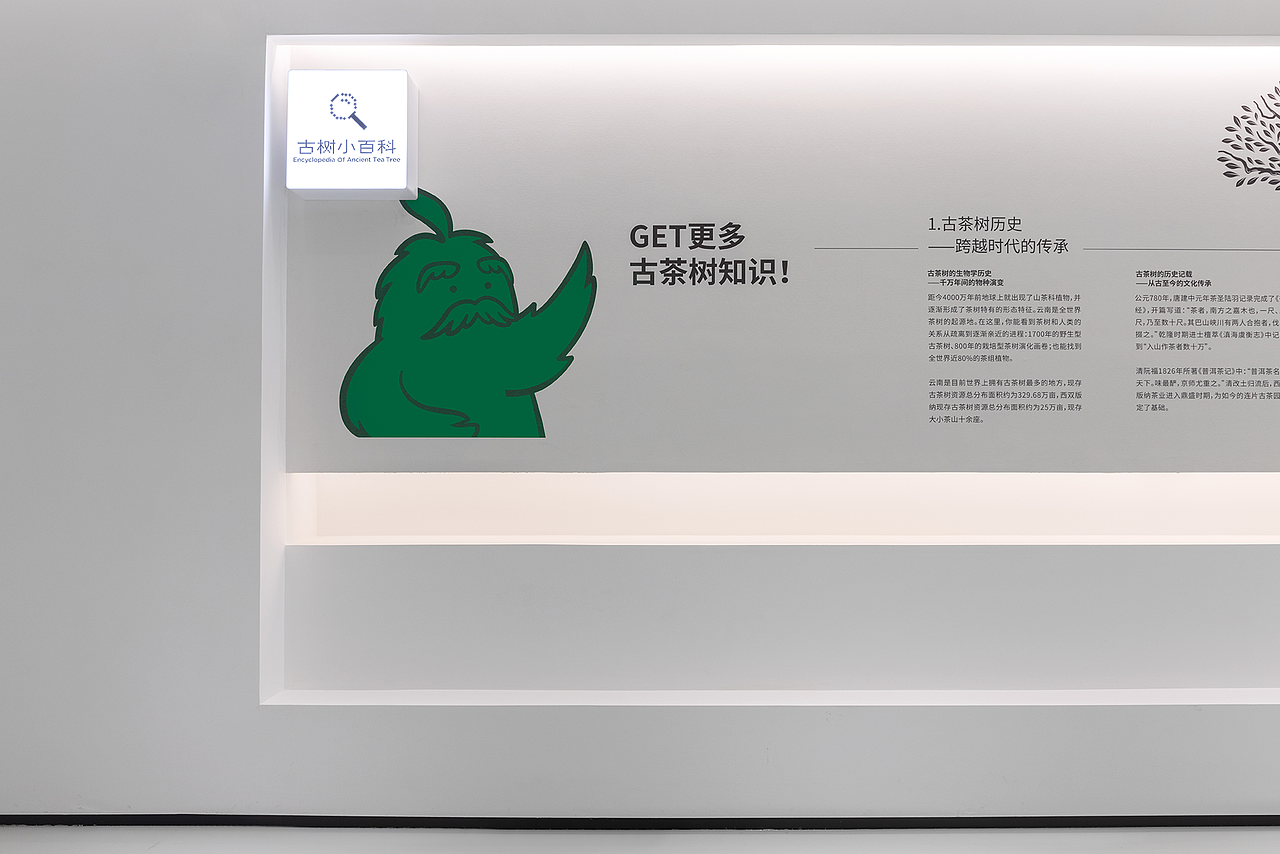 沉浸体验时代，雨林古树茶的体验之旅（图ZMjk0OTg3NTE2） - 展陈设计 - 站酷设计师容品牌原创素材 - 站酷ZCOOL