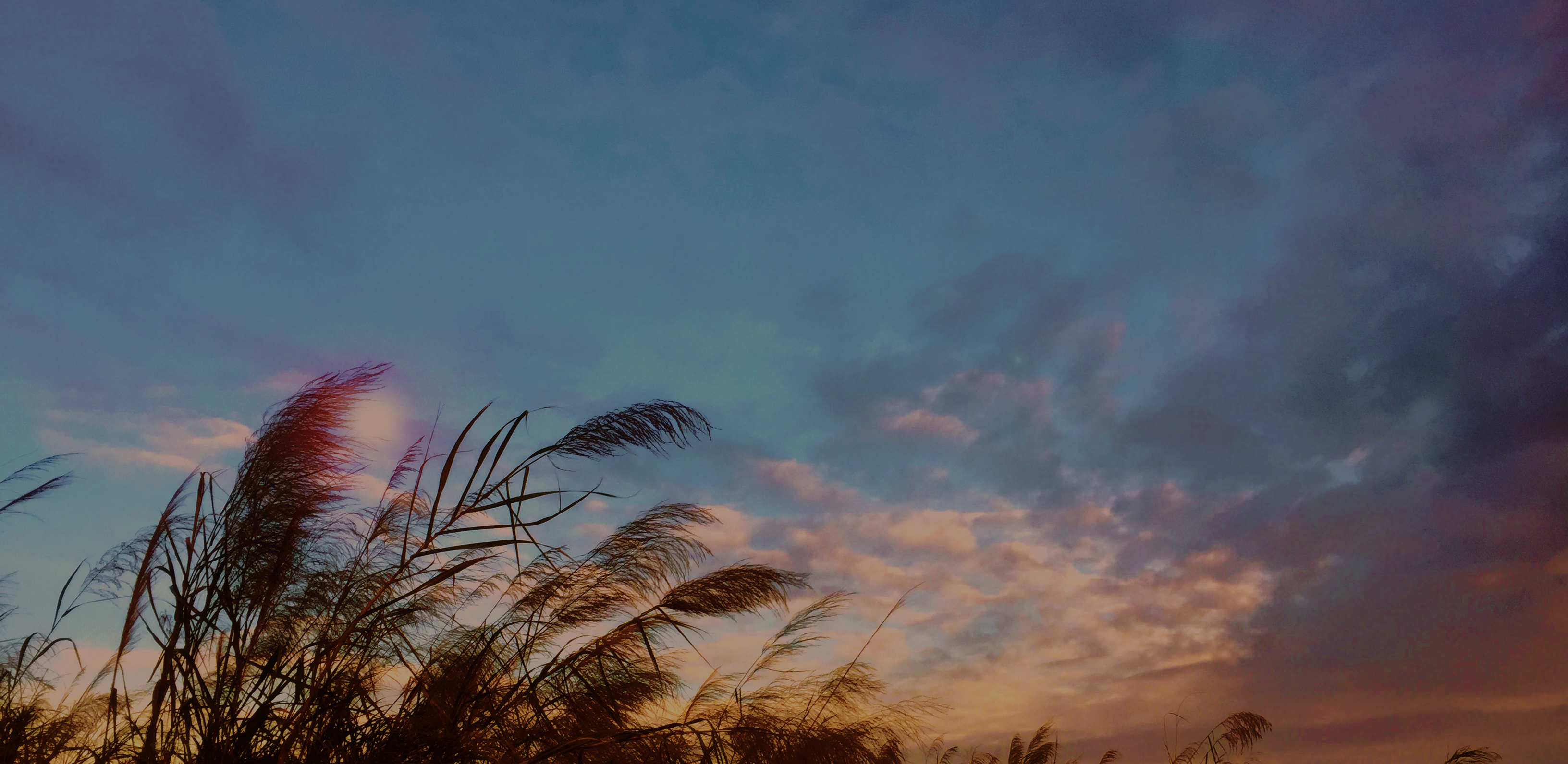 居中居左对齐纵向平铺横向平铺排列锁定背景图位置显示背景图rgb模式