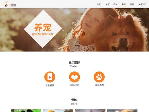 狗民网-网页改版