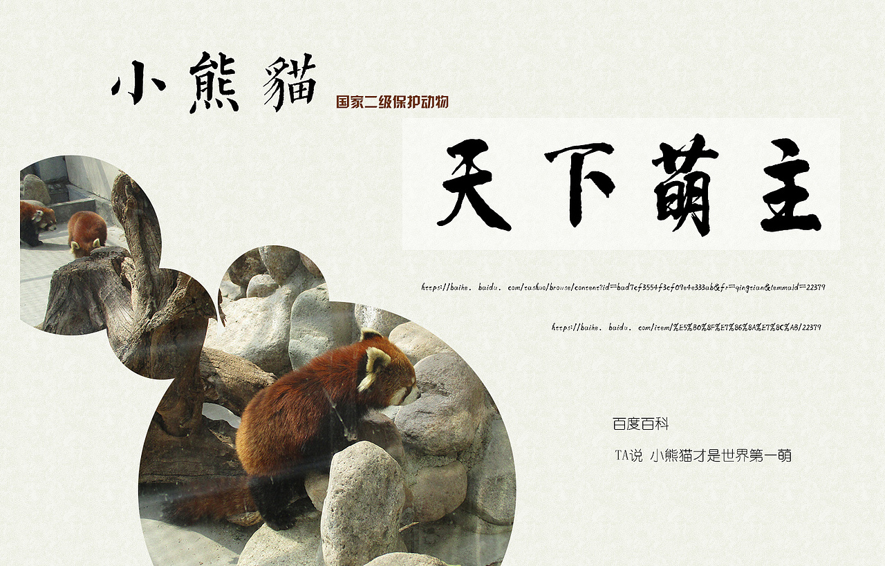 奇珍记 动物园之小熊猫