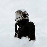 世界是棵树的头像