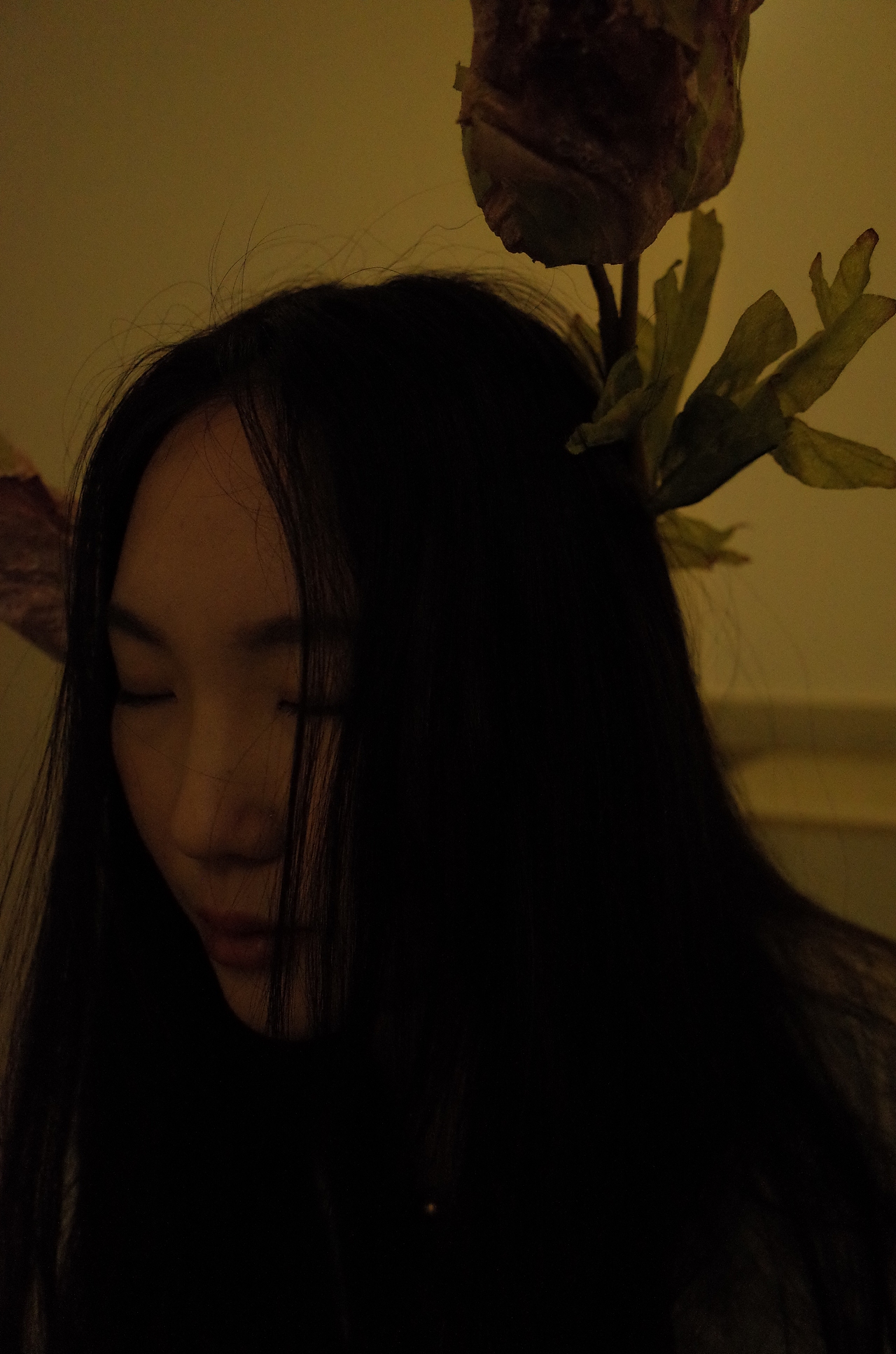 花（图ZMjUxNDI1MDY4） - 人像摄影 - 站酷设计师阿哈是哈原创素材 - 站酷ZCOOL