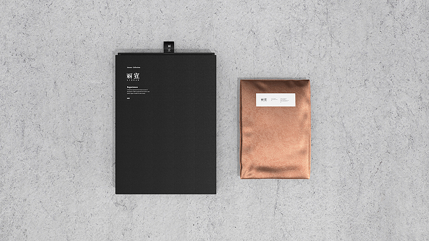 《丽宣》服装品牌设计