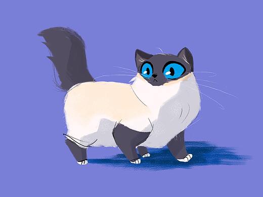 临摹插画-布偶猫