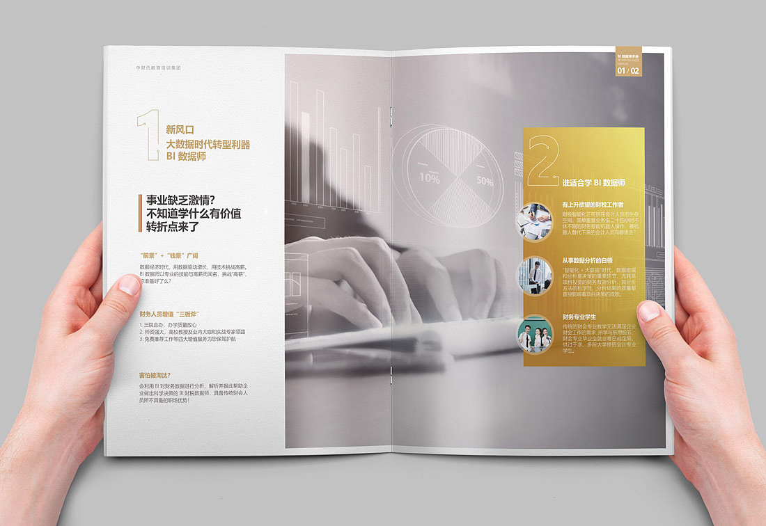 BI数据师手册（图ZMjY2MzQ0Nzg0） - 书籍/画册 - 站酷设计师爱画册原创素材 - 站酷ZCOOL