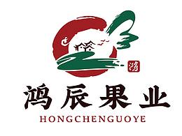 鸿辰果业-----VIS