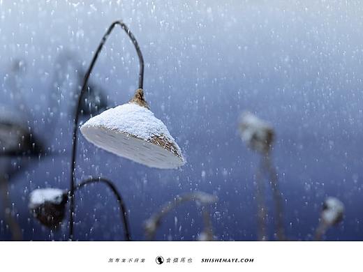 食摄马也·CHINA驰系列 | 廿四节气-大雪