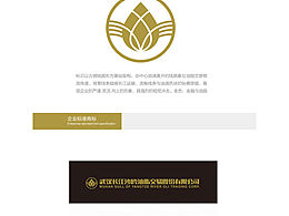 vi全案