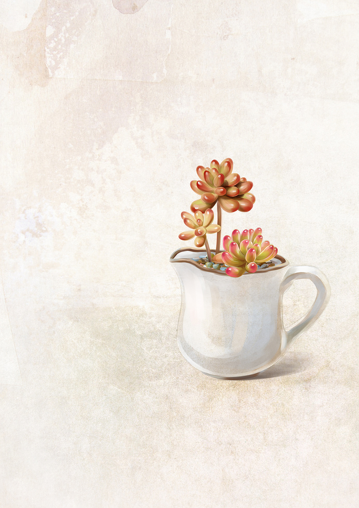 小清新 多肉植物插画（图ZNzIzOTk1MjA=） - 创作习作 - 站酷设计师PICAST图卡司插画原创素材 - 站酷ZCOOL