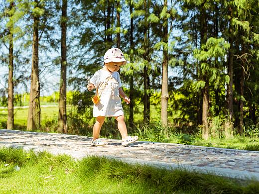 咩咩与他的好朋友