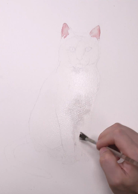 （水彩绘画）白小猫（图ZMTgwNDM3MDQ0） - 绘画 - 站酷设计师萃艺博课堂原创素材 - 站酷ZCOOL