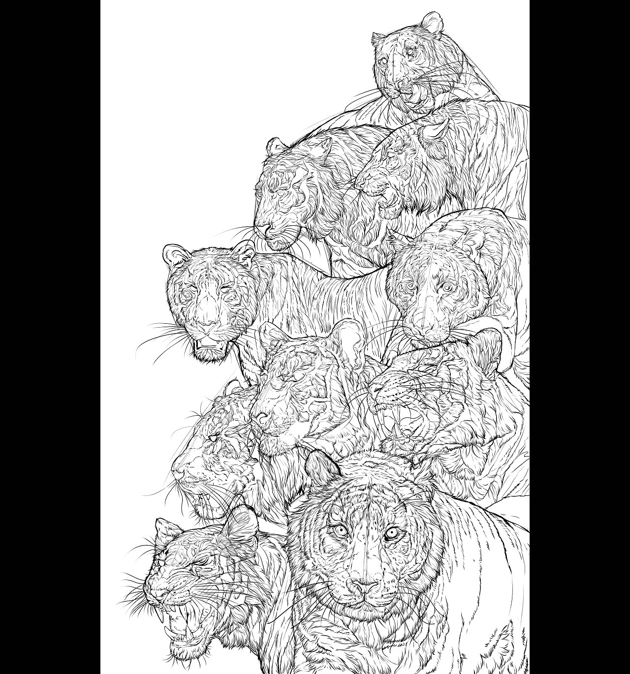 动物插画《真丶虎》系列(图ZMjgzMTUwNDc2) - 艺术插画 - 站酷设计师狮子大亨原创素材 - 站酷ZCOOL