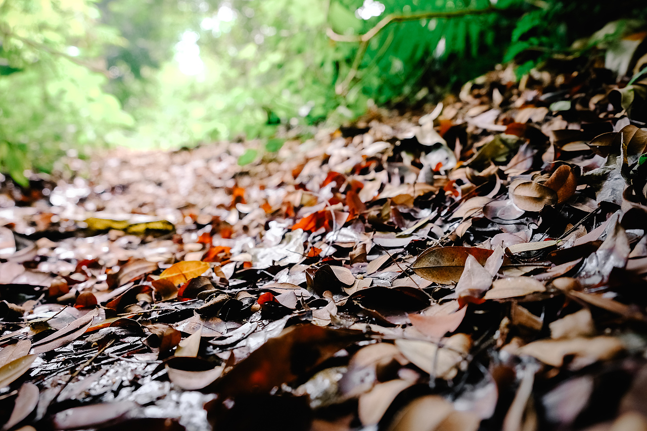 六西的小瀑布（图ZMTA5MDcxNTEy） - 风光摄影 - 站酷设计师西早映画原创素材 - 站酷ZCOOL