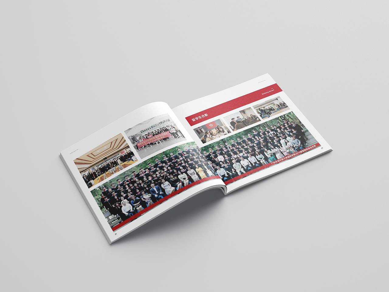 教育学校宣传画册设计