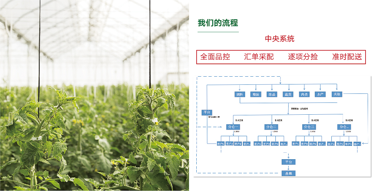 报菜郎品牌手册
