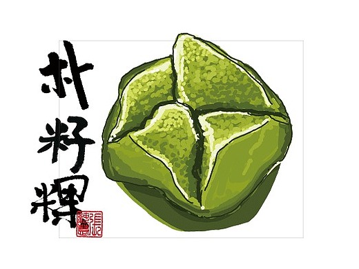 朴籽粿-潮汕人家的抹茶蛋糕插画-商业插画489053年前添加表情