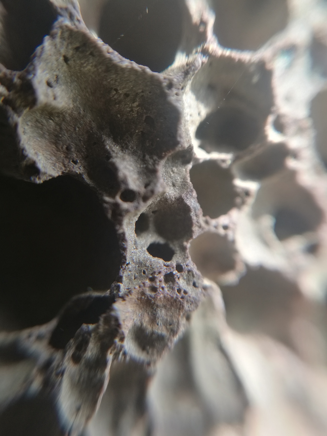 微距摄影作品集（图ZMTI5NzAyNTk2） - 风光摄影 - 站酷设计师YuanxuanLI原创素材 - 站酷ZCOOL