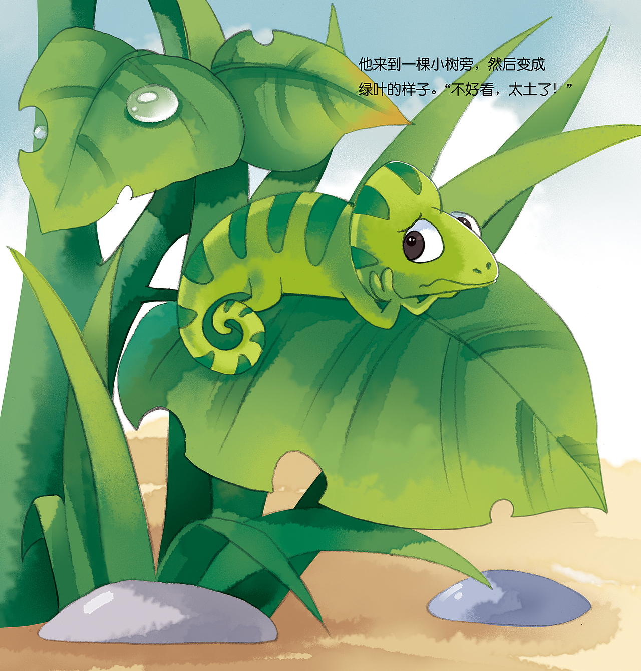 儿童绘本最美变色龙未出版