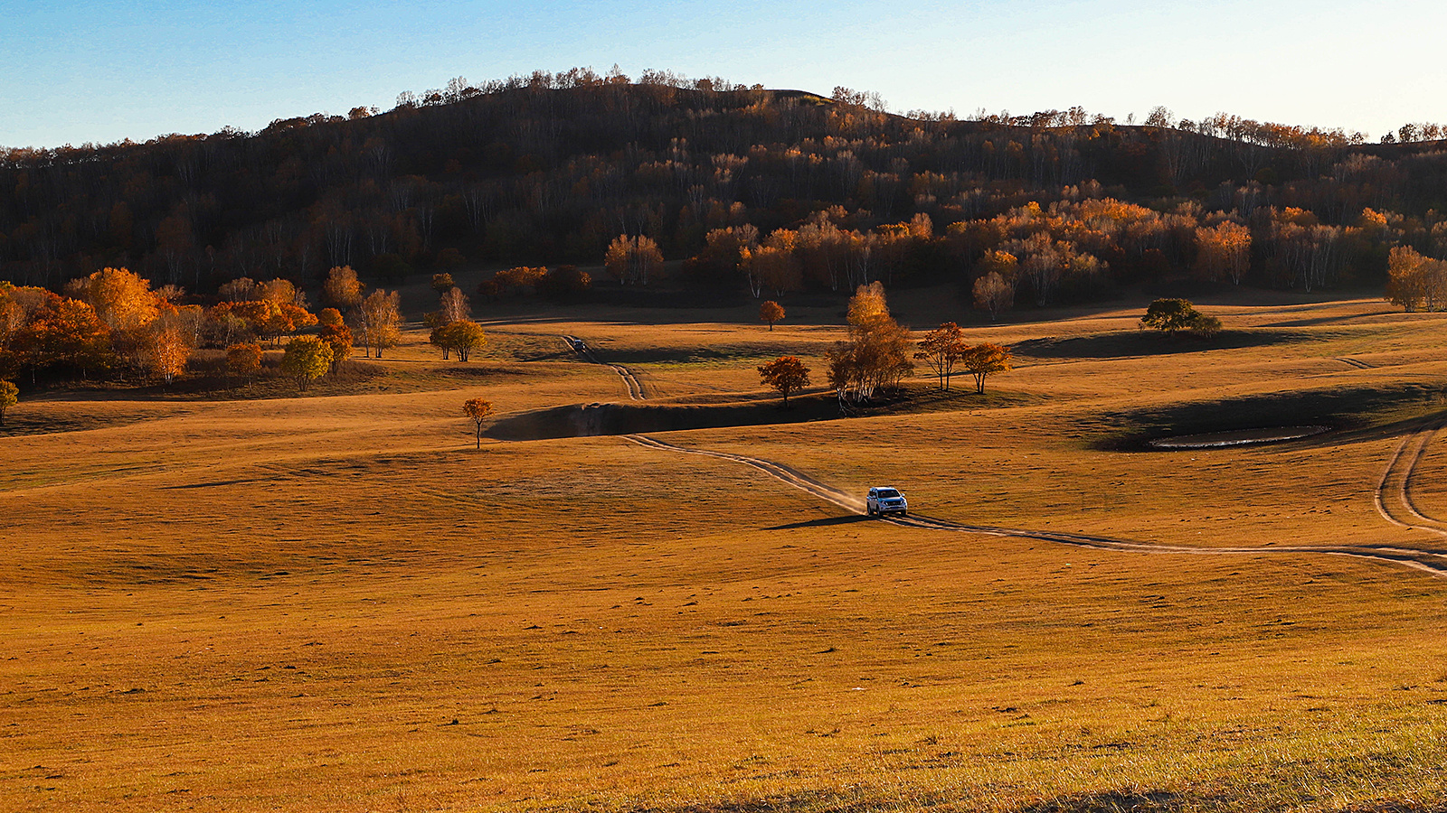 坝上秋色|摄影|风光摄影|凯恩_kane - 原创作品 - 站酷 (zcool)
