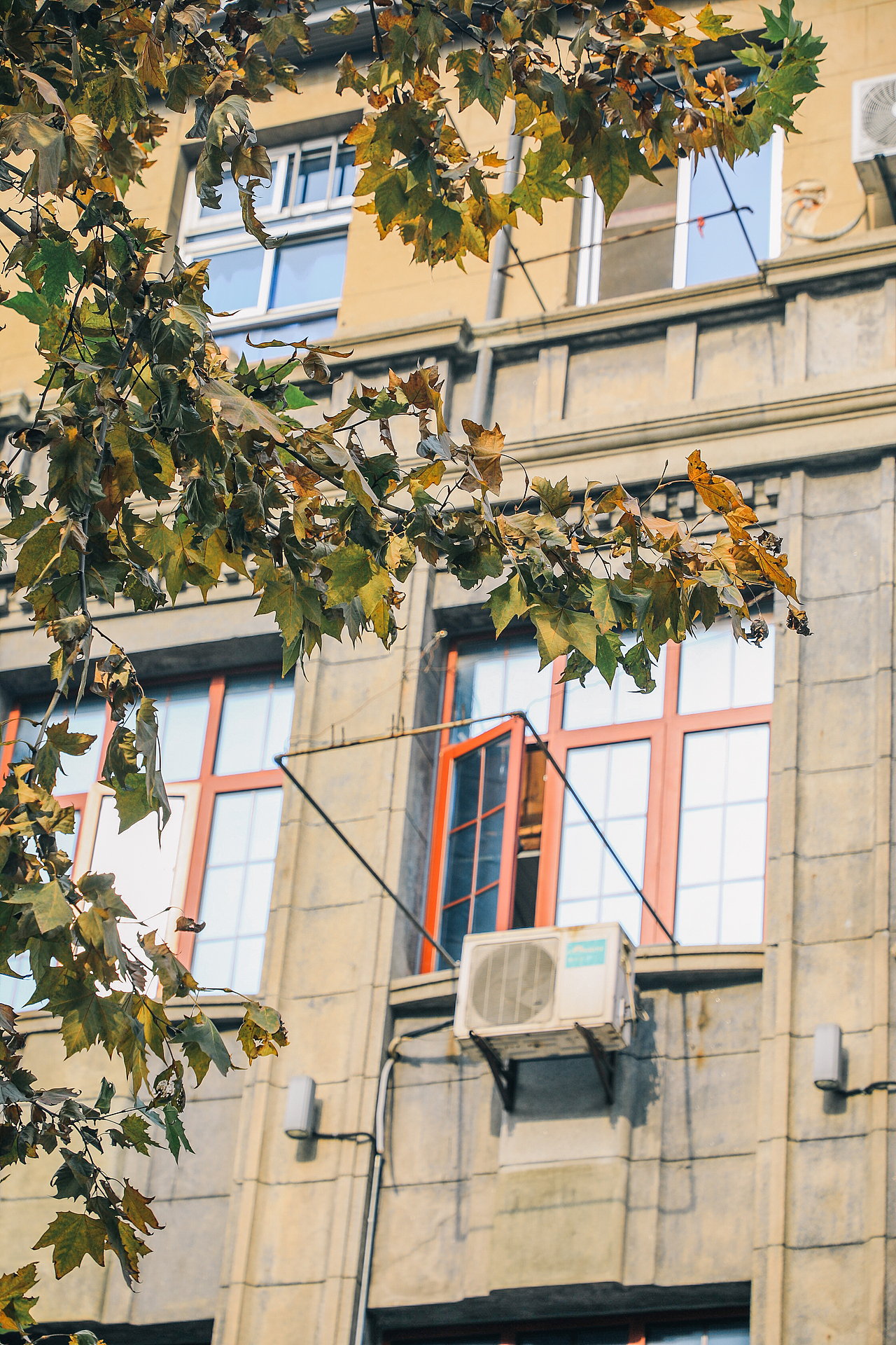 南京路的平凡一天