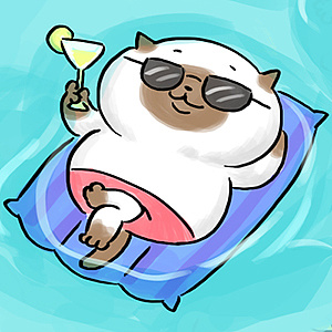 市井百喵-肥猫泡水